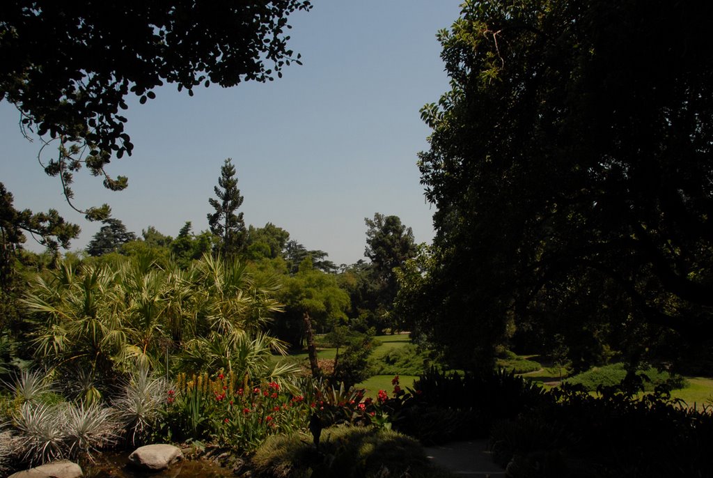 Huntington Library by JohnMuzi