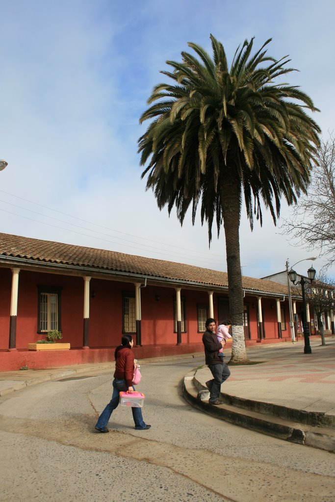 Plaza de Curepto by emartinez