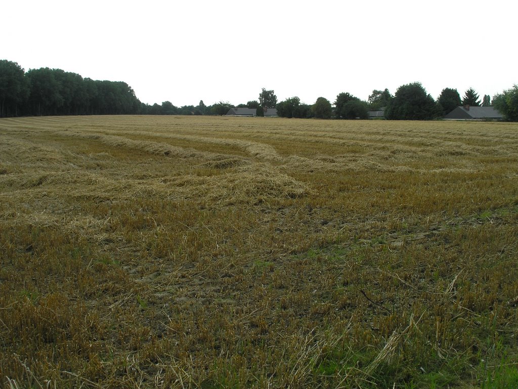 Countryside Woluwé-saint-lambert by marcewa