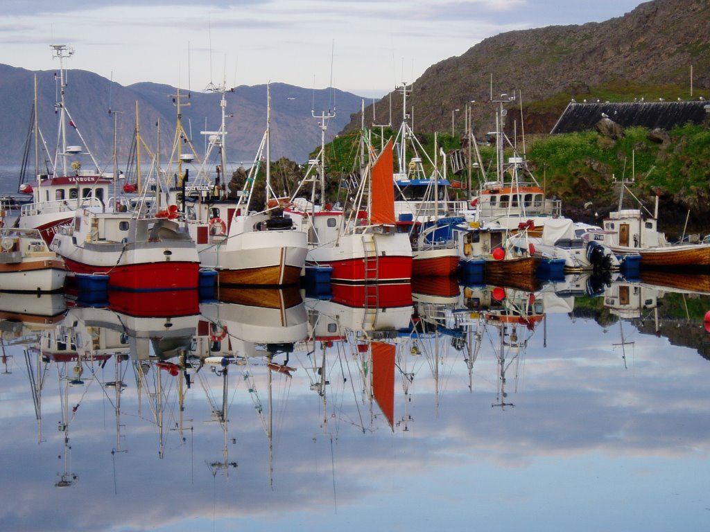 Bateau en reflet Iles Lafoten by Michelle MINI