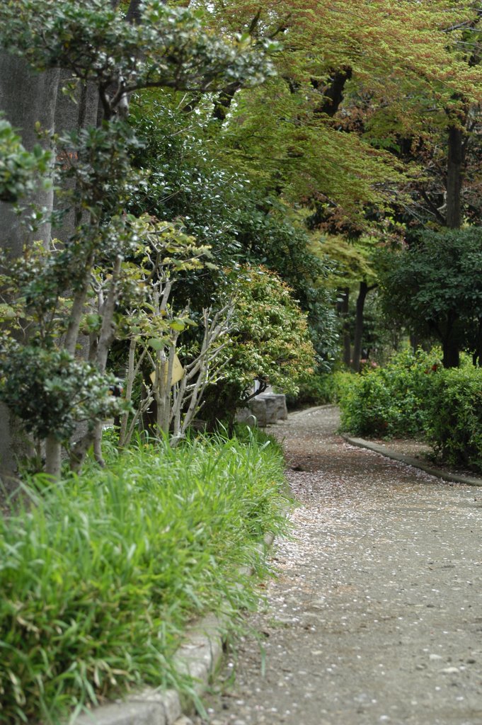 Kakinokizaka, Meguro-ku Nomigawa-Greenbelt. by 7l1ksv