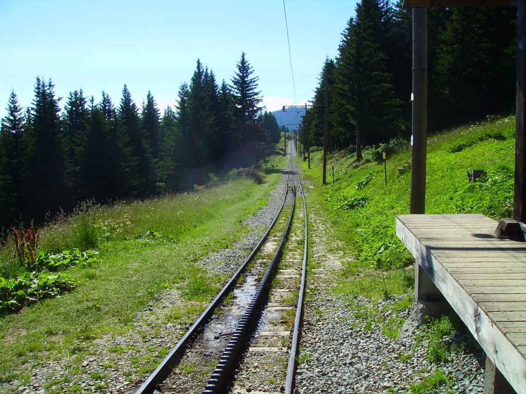 La ligne du TMB vu de la gare de la Chalette by francisco69