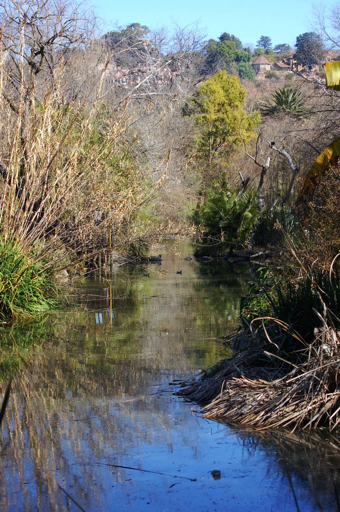 Lake at the Johannesburg Zoo by j. adamson