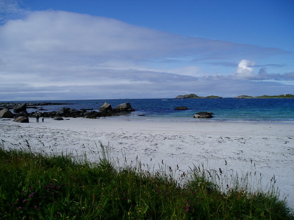 Plage de sable fin Iles Lafoten by Michelle MINI