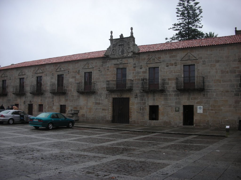 Cambados, Palacio de Fefiñanes by dakisen