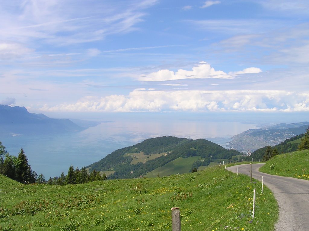 View from path to Col Jaman towards middler Lac Léman by StuckenPeter