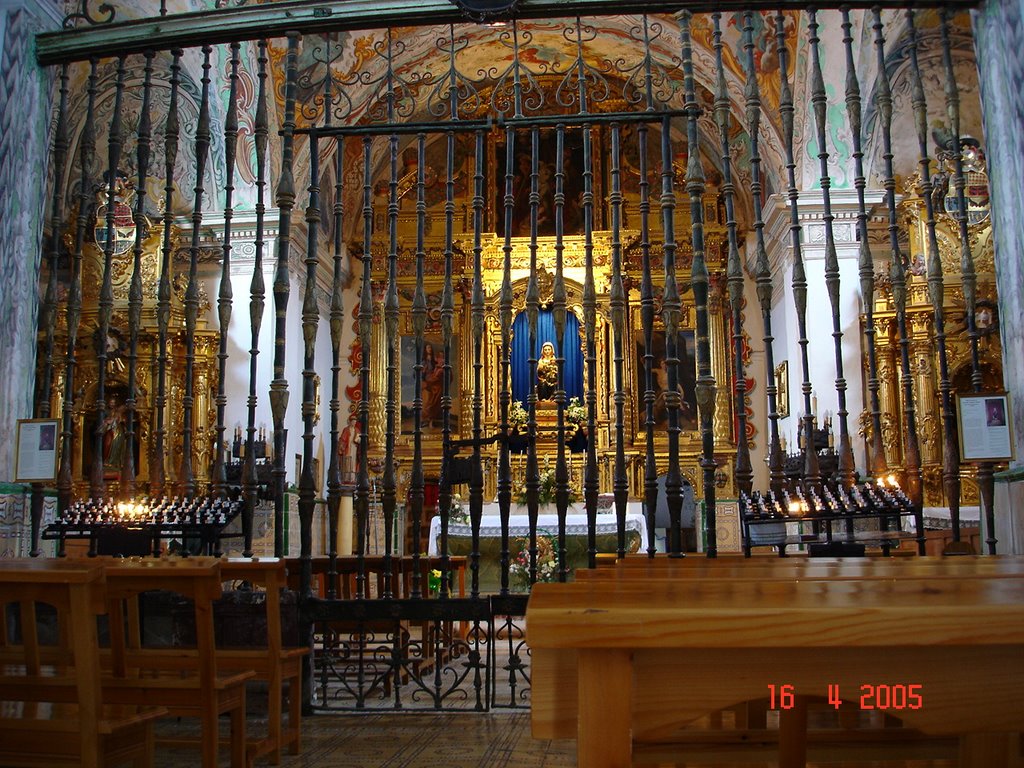 Virgen de Allende by gonzalo_