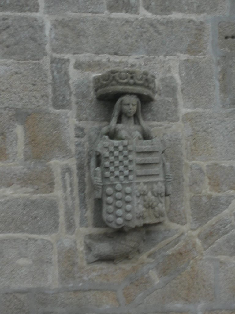 Palacio de Fefiñanes, otro escudo de armas, en el lateral by dakisen