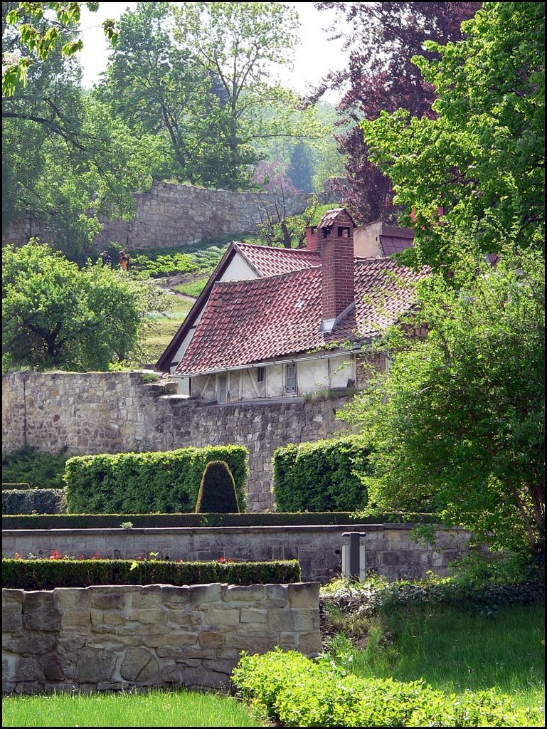 Blankenburg Barockgarten.JPG by André Paul