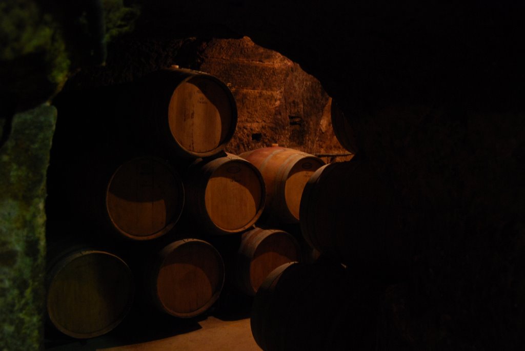 Bodegas González Teso by Arm74