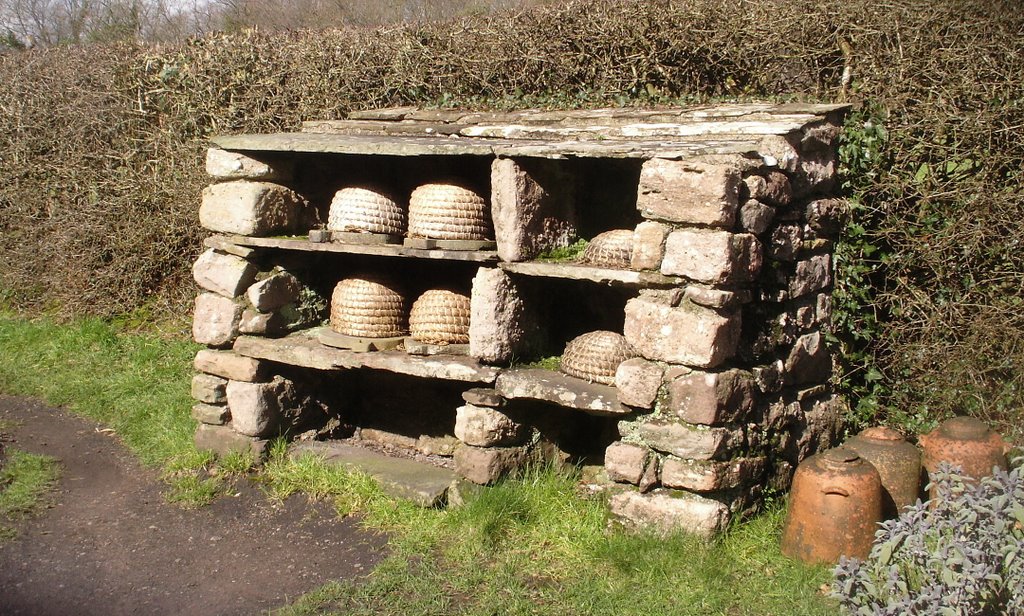 Welsh National Folk Museum Bee Shelter by muba