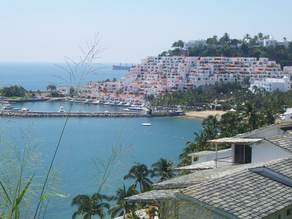 Bahia desde el Hotel la Hadas Manzanillo by Roberto  Weekend