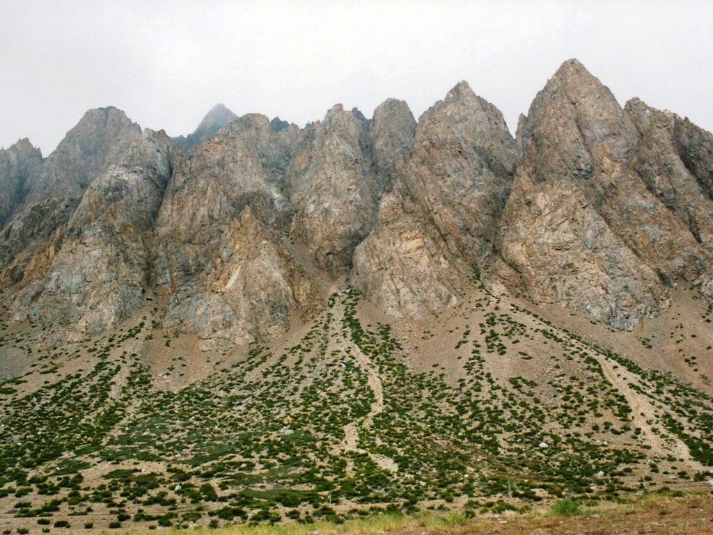 Los penitentes, Mendoza by jorey