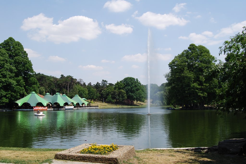 Debarcader(Parc Romanescu) by Claudiu Dragota