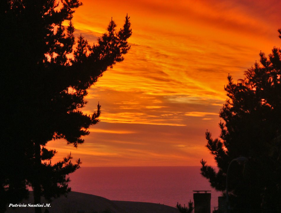 Un atardecer ardiente, Viña del Mar, Chile. 12577425 by Patricia Santini