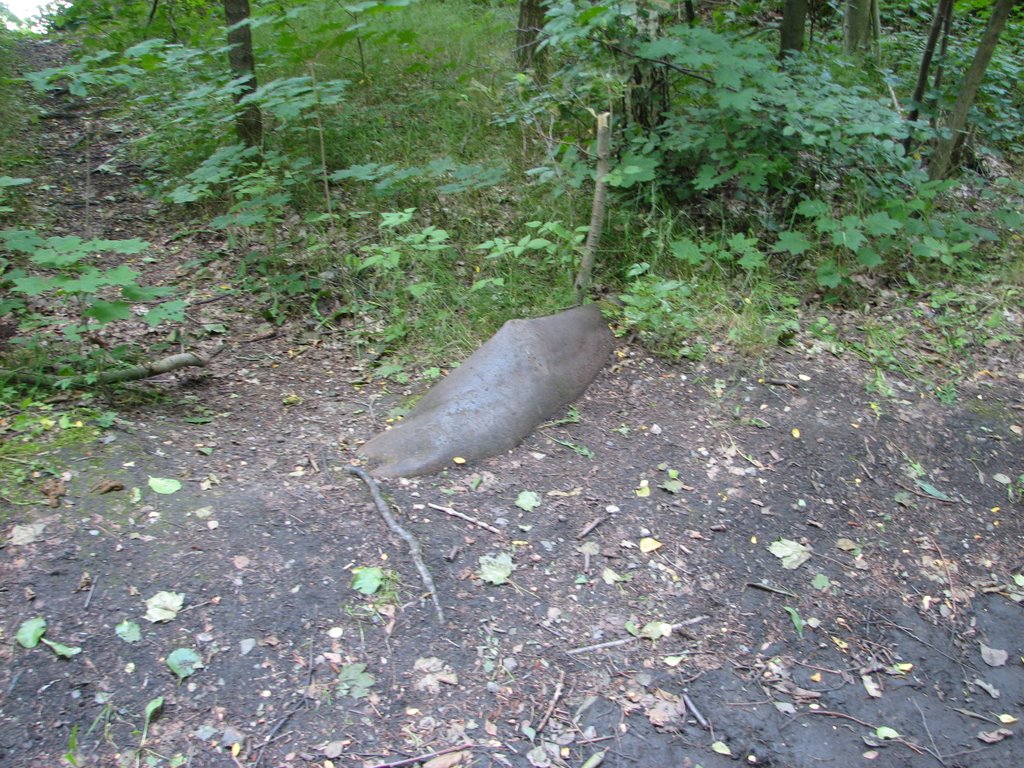 STEINSCHNECKE BRUCHSEE / JULI 2008 by alfawenz