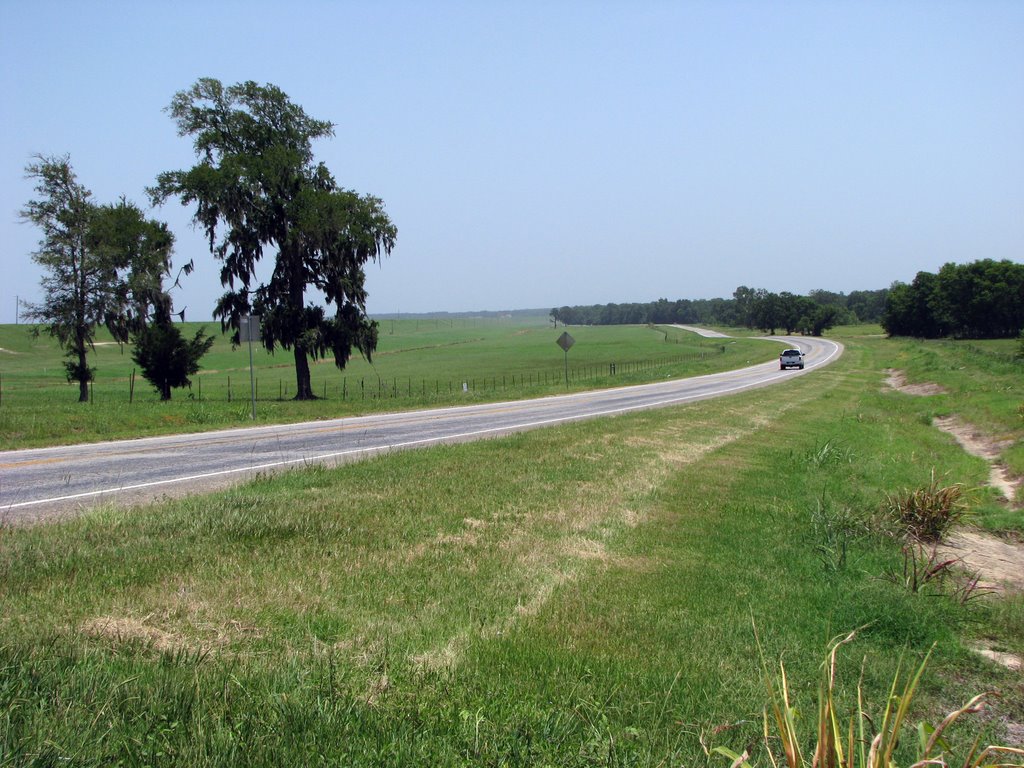 Lake Livingston Dam Road by tweety3d