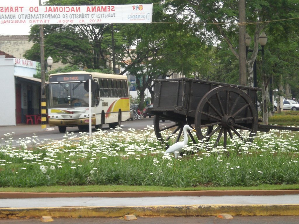 Carroça (velho) e ônibus circular (transporte coletivo) na rotatória da Avenida Mercdelino Pires - Dourados - MS - Brazil by Paulo Yuji Takarada