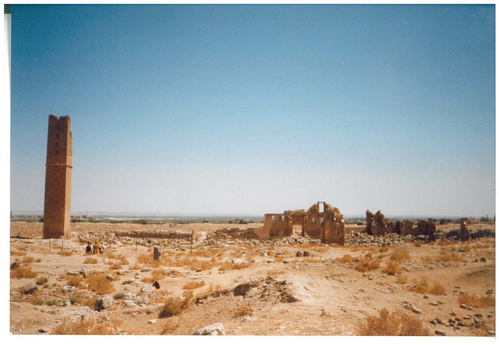 Harran, university by Petr Šenel