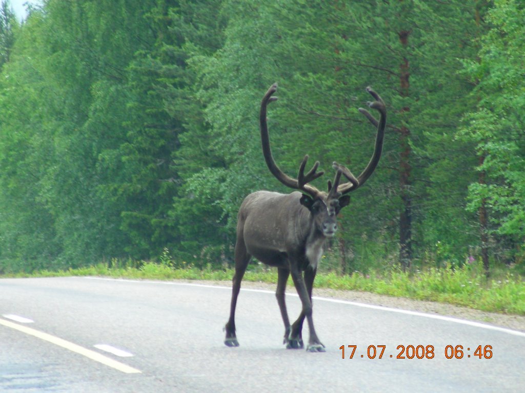 Kainuu, Finland by Петр85