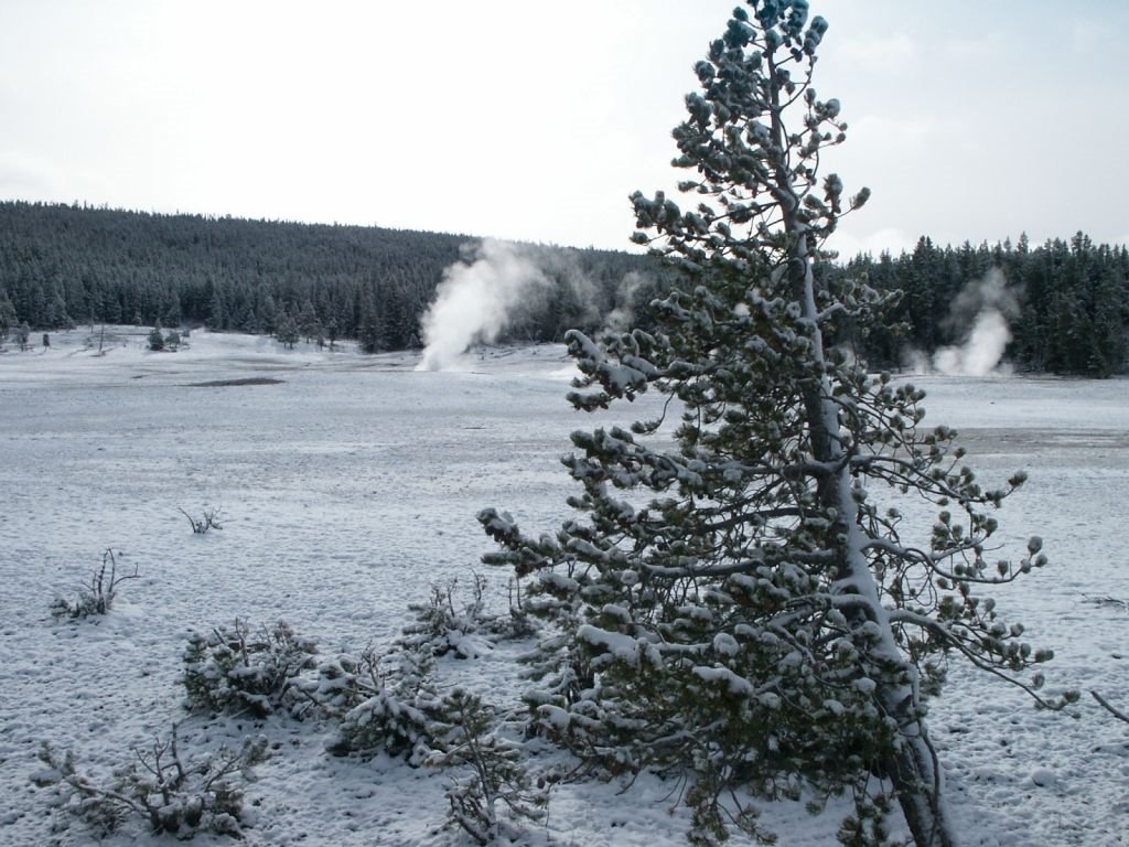 YELLOWSTONE NP early may by PzB - pitethebest