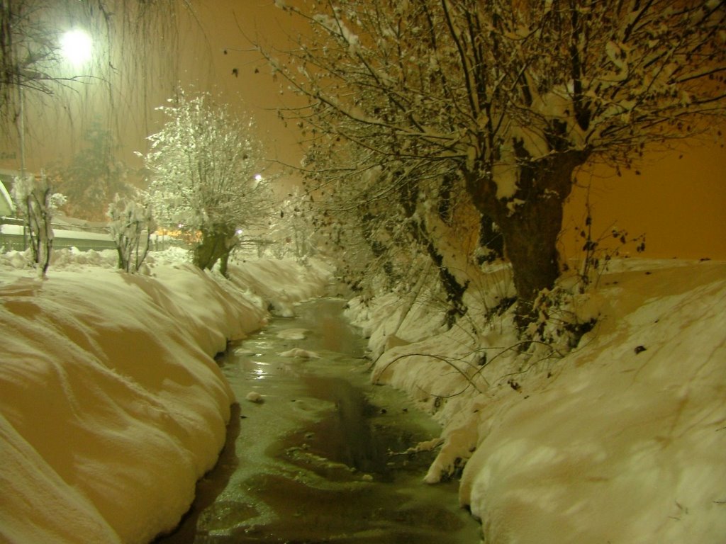 Cervignano d'Adda (LO), nevicata gennaio 2006 by alder