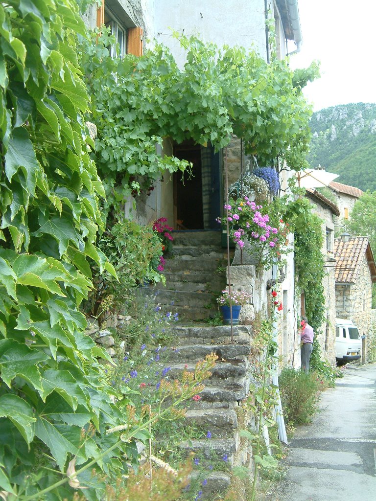 Street in peyreleau by theaoving