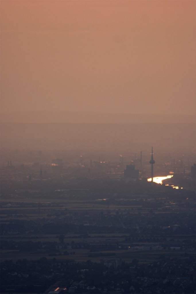 Mannheim as seen from the Königstuhl (20km distance). River Neckar is glowing in the afternoon sun. by Frederic Romberg