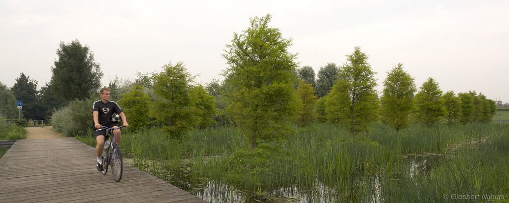 Op weg naar voetbal, 20080728 by Giesbert Nijhuis