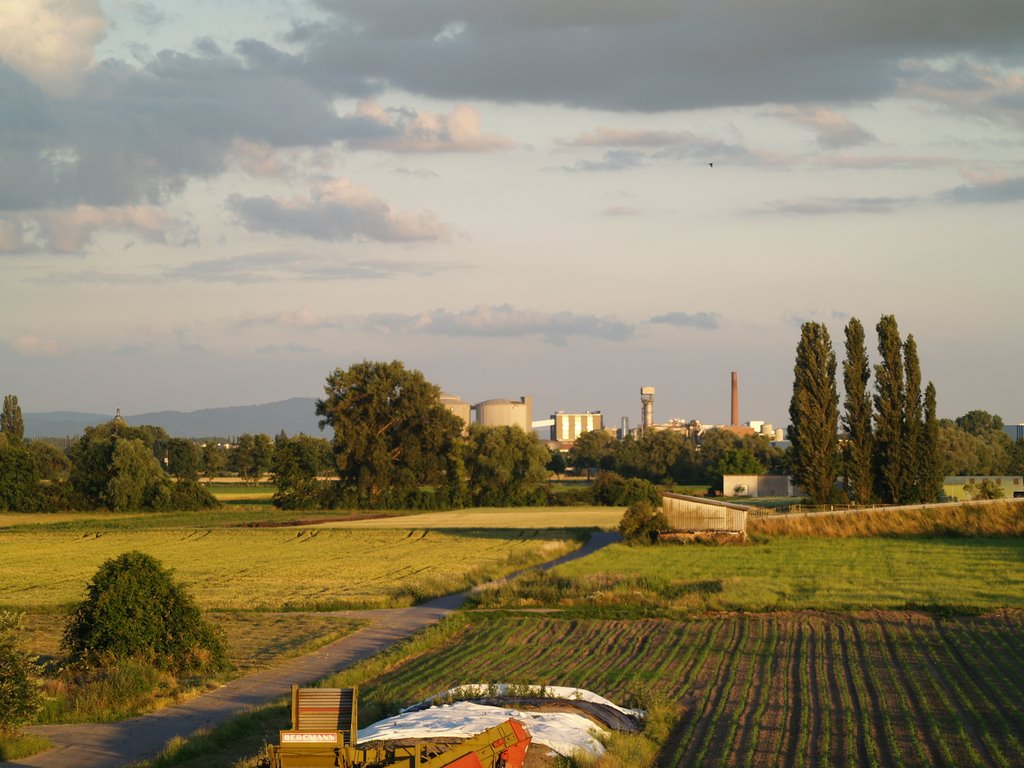 Nauheim, Fensterausblick Richtung Groß-Gerau by internati