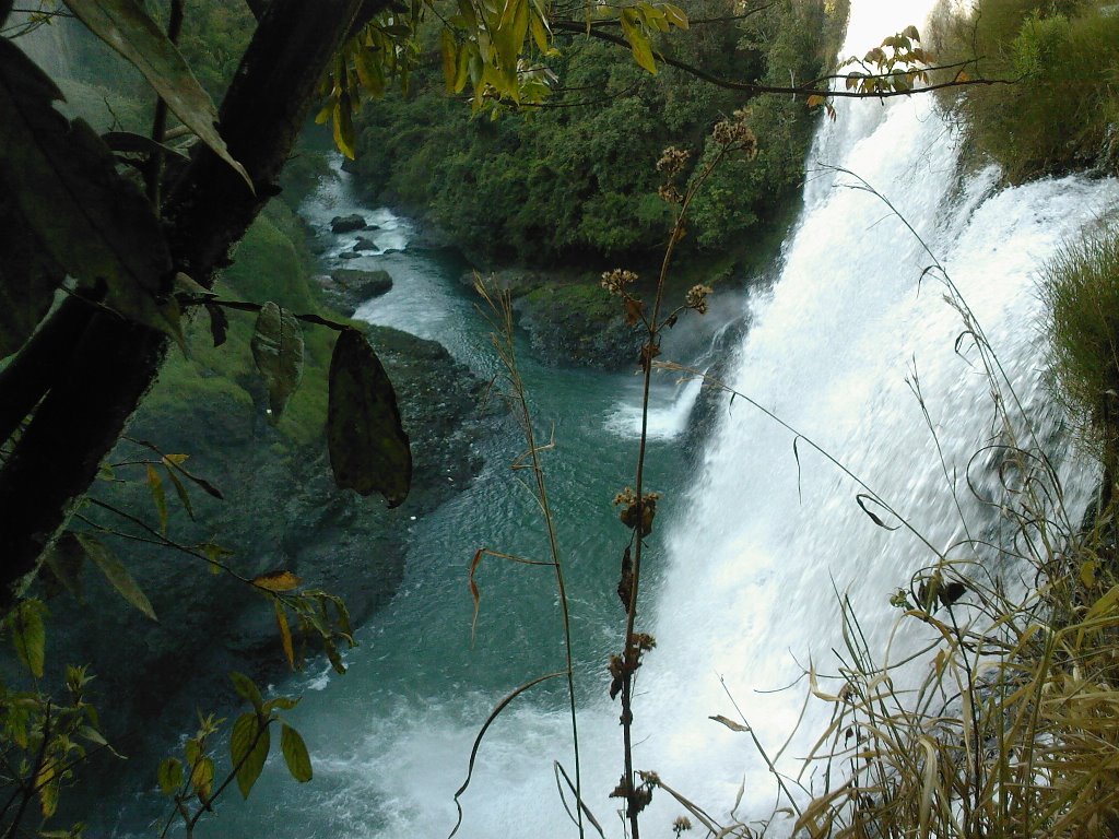 Cachoeira do Rio Claro by Thomás Amaral