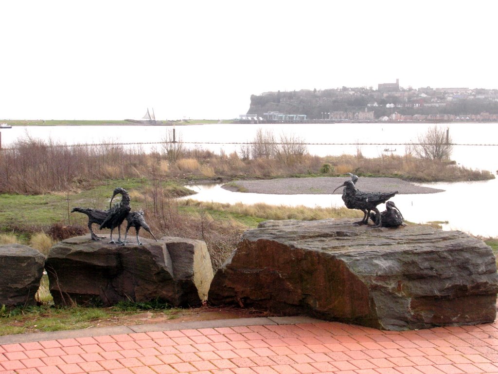 Cardiff Bay - The Wetlands by muba