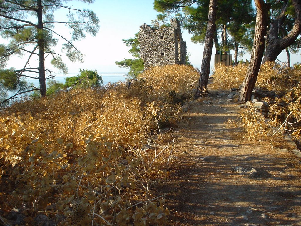 Thassos by pahlroos