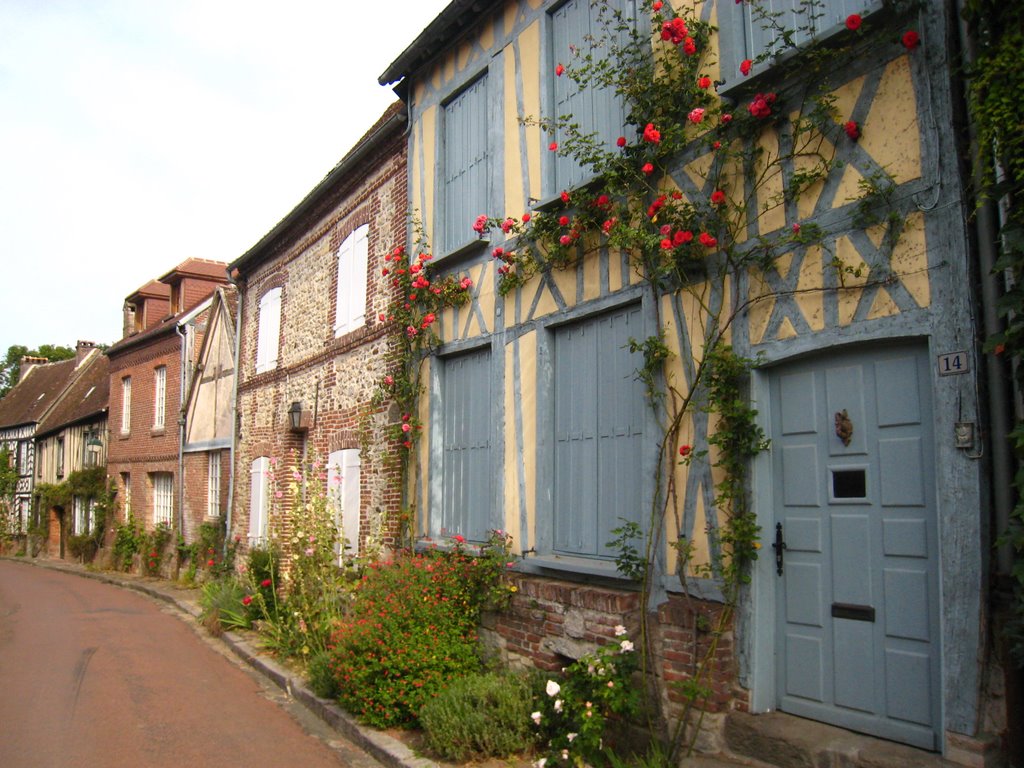 Roses et maison bleue. by ☮Ronan 60 countries☮