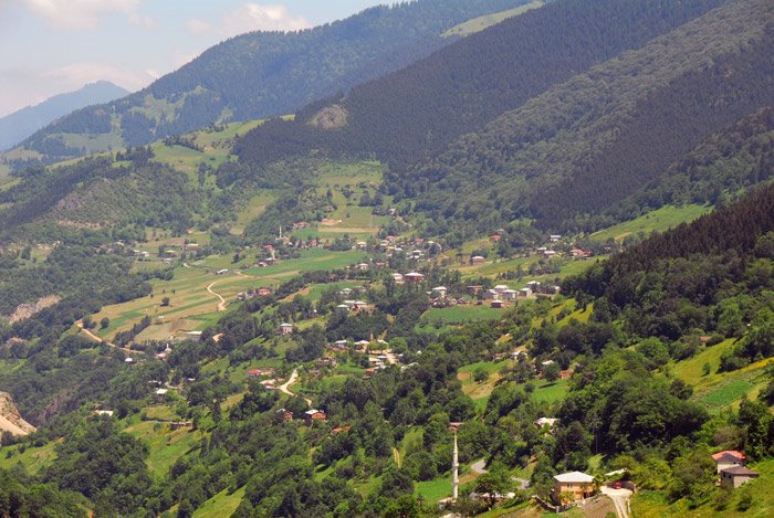 Hamsiköy Kayihan_Bolukbasi by Kayıhan Bölükbaşı