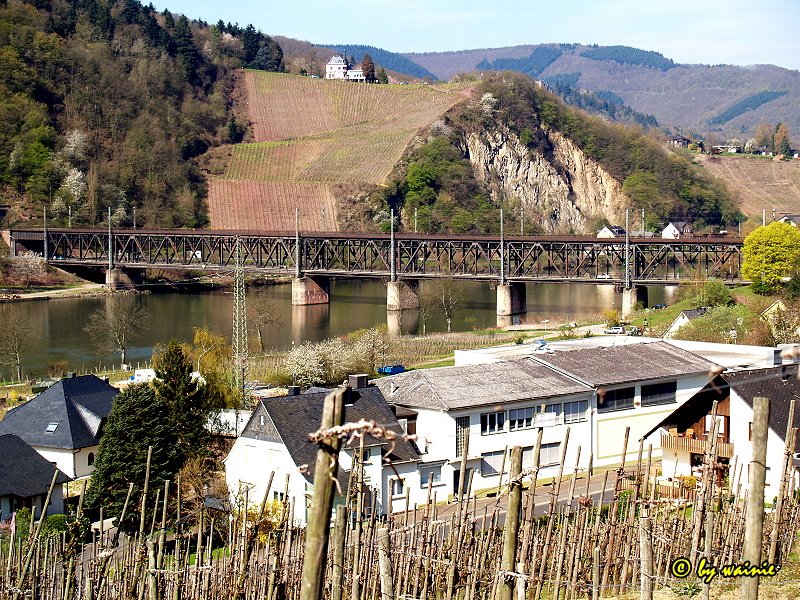 Eisenbahn- und Straßenbrücke Alf / Bullay by Walter Nietgen