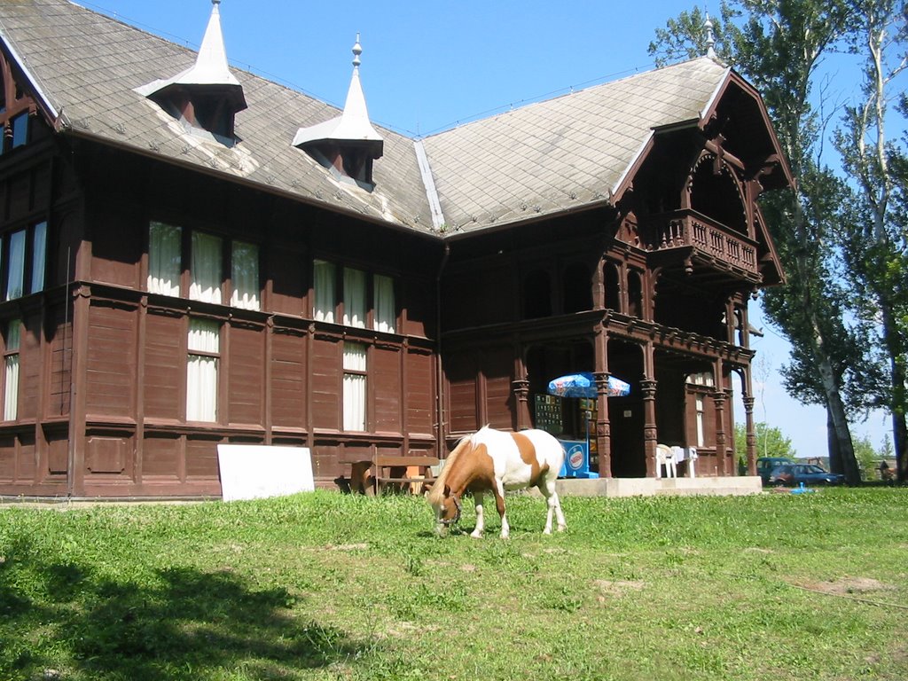 Szekszárd, Bárány-fok, "Milleniumi faház" by ReLa71