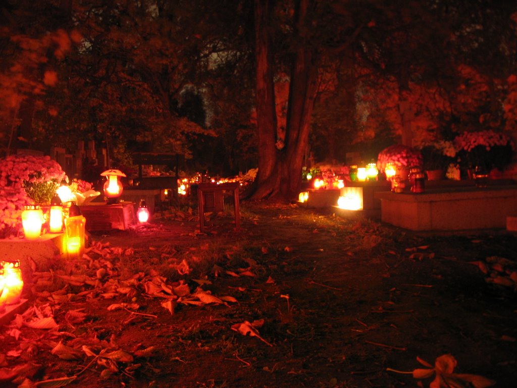 Cmentarz Grabiszyński (cementary) by Garefield