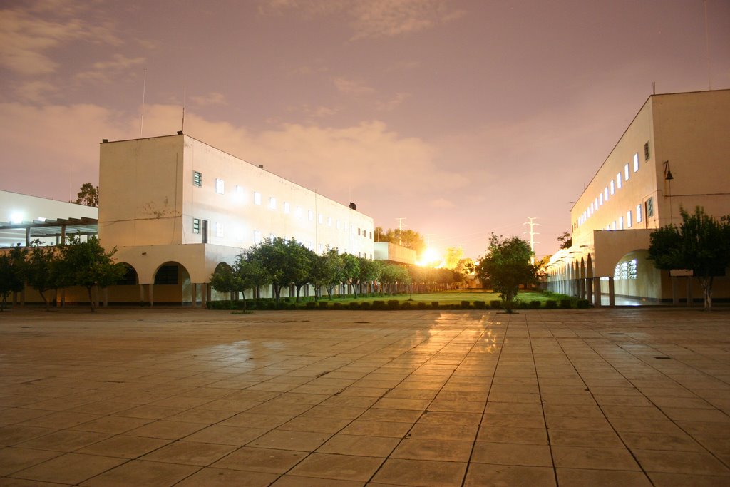 Foto de jardin central por la noche ( Foto de Francesco Lay) by Francesco Lay