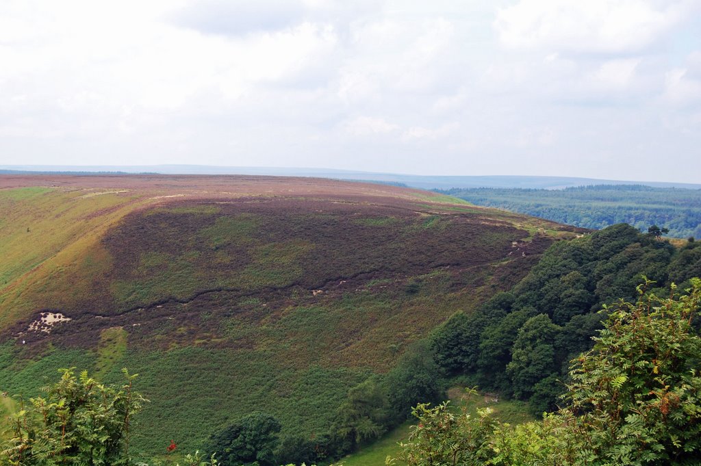 Hole of Horcum 2 by Paula K