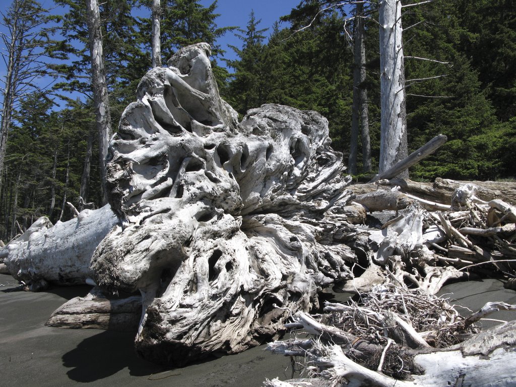 Rialto Beach, Olympic NP, WA, USA by p.vr