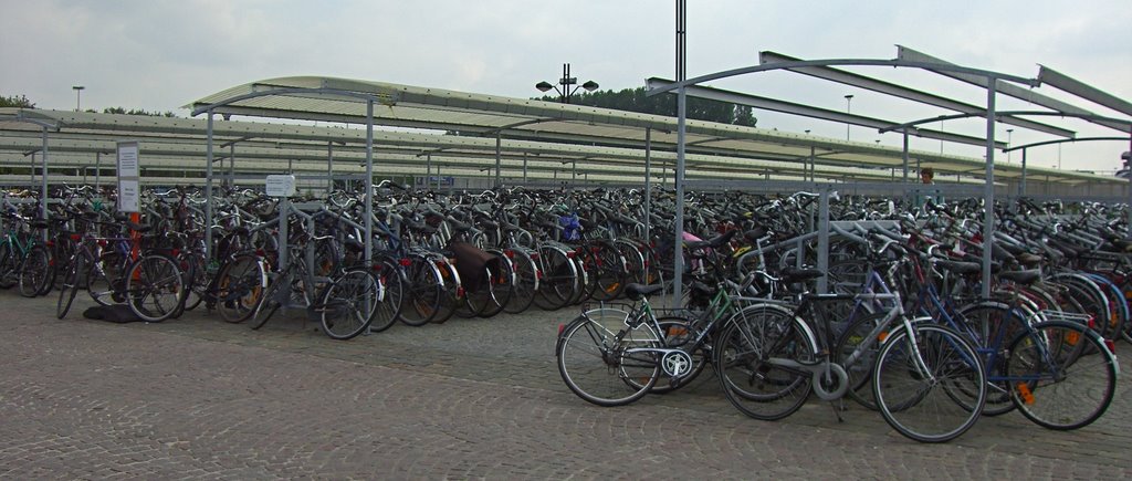 The Bike Rack at Brugges Train Station by rvsrvs