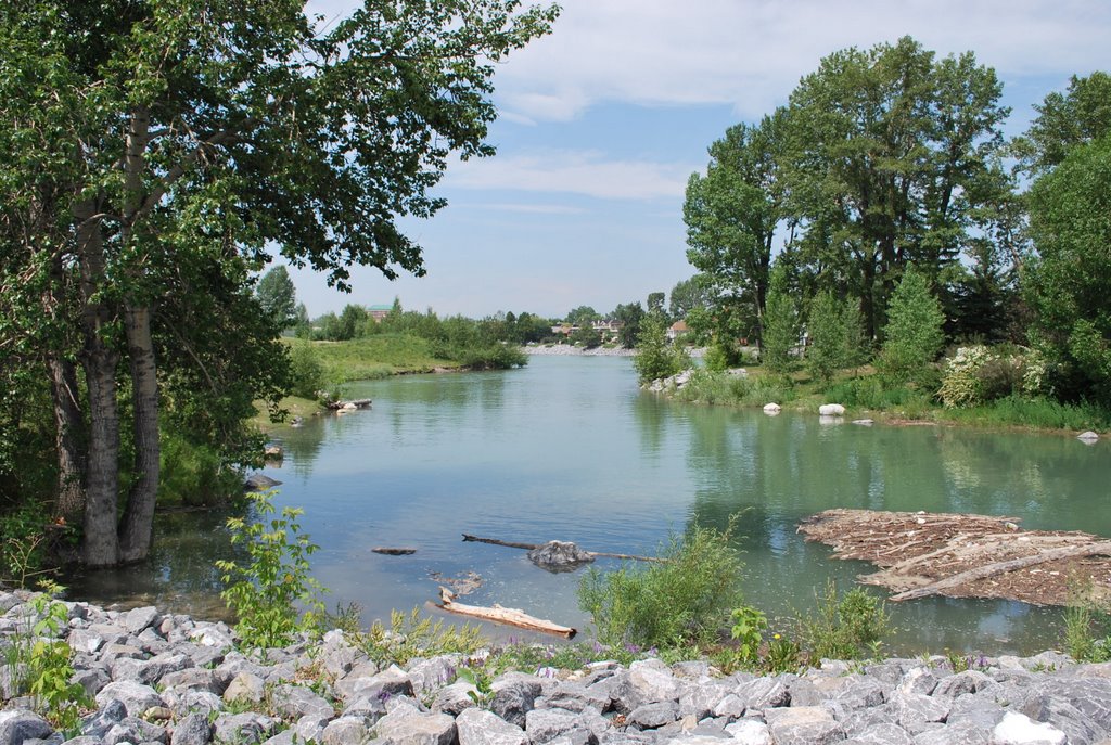 Princes Island Park by Marie Dubois