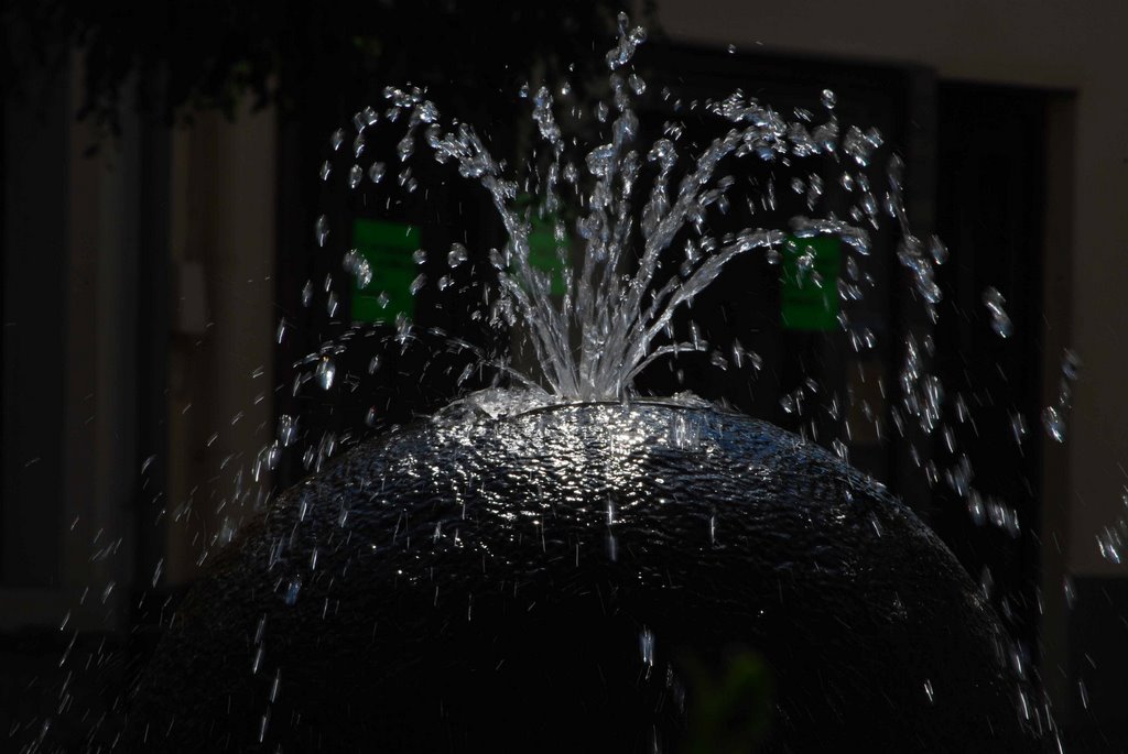 Brunnen/fountain in Meisenheim/Pfalz, Germany by blattschuss