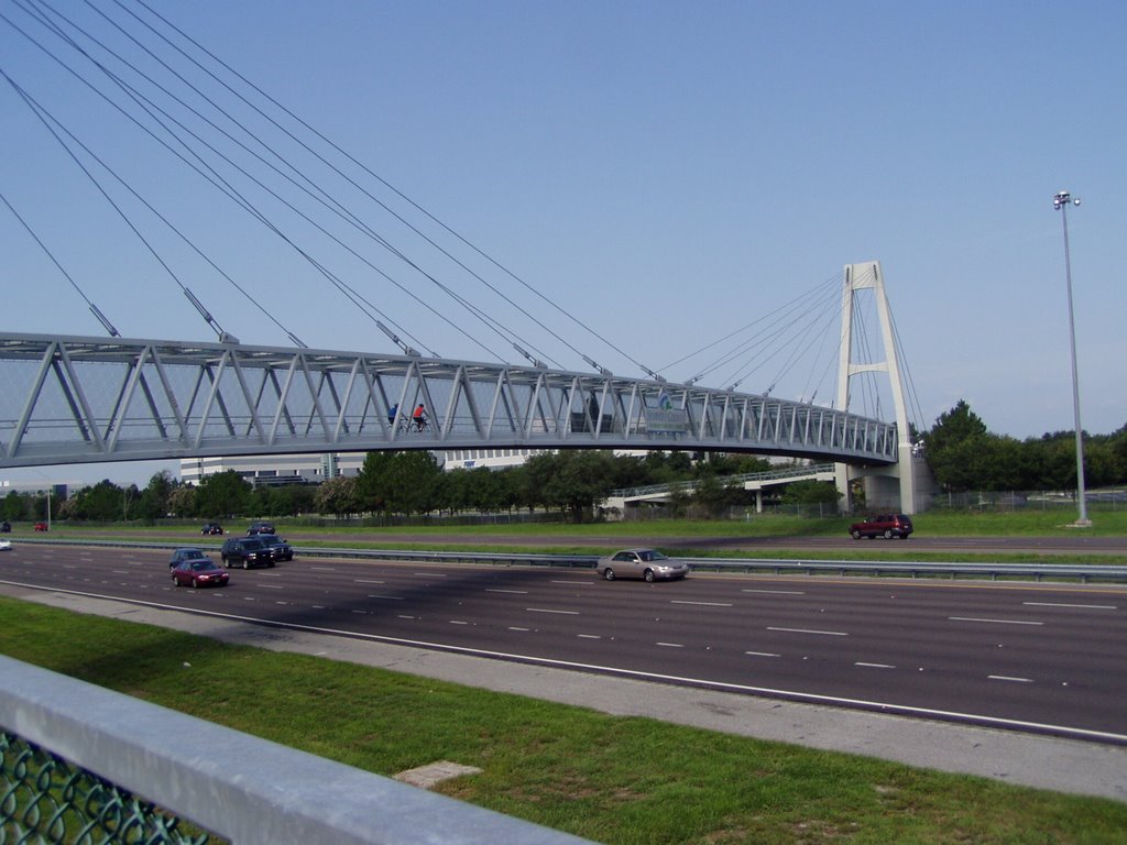 I-4 Pedestrian Overpass - Seminole Trail by Rod Hilner