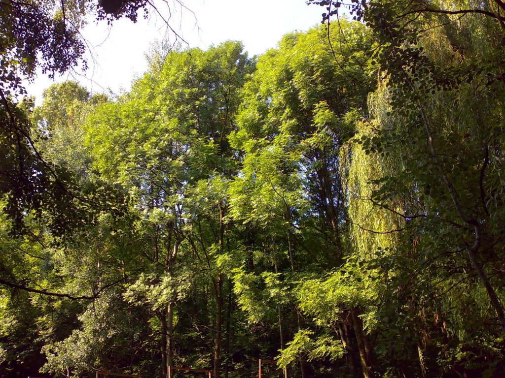 The "Borisova" Garden by Kiril Momov