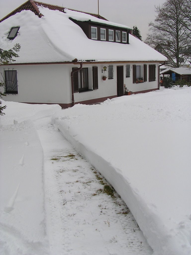 72250 Kniebis, Schwarzwald, Winterimpression by ichbins bernd