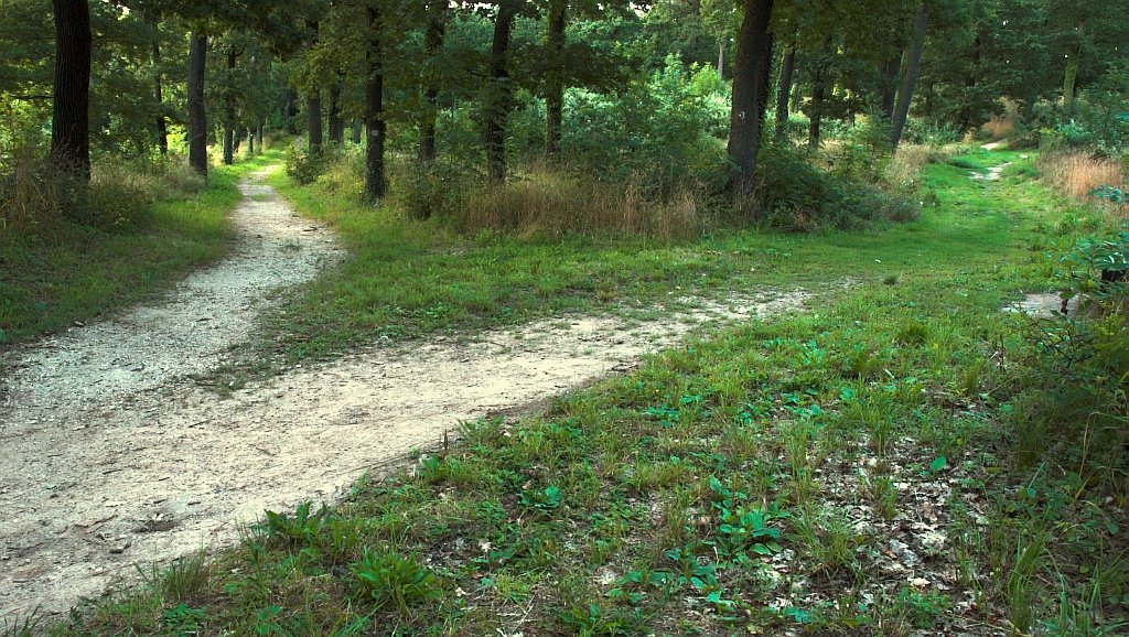 Walkway to Hárshegy by Apu Jeno