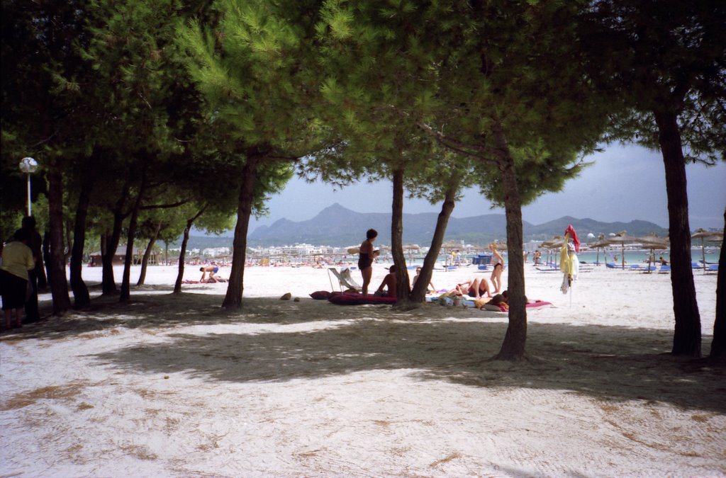 Alcudia - Pinien und Strand, 1991 by BlackIceNRW