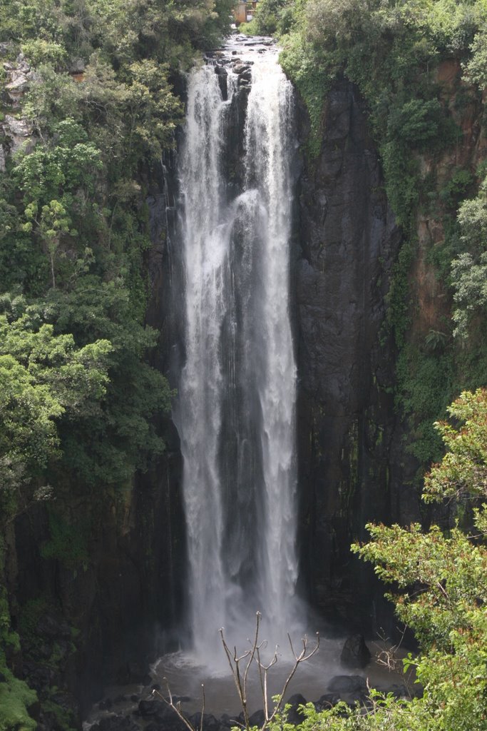 Thomson Falls II by Elmer Romero